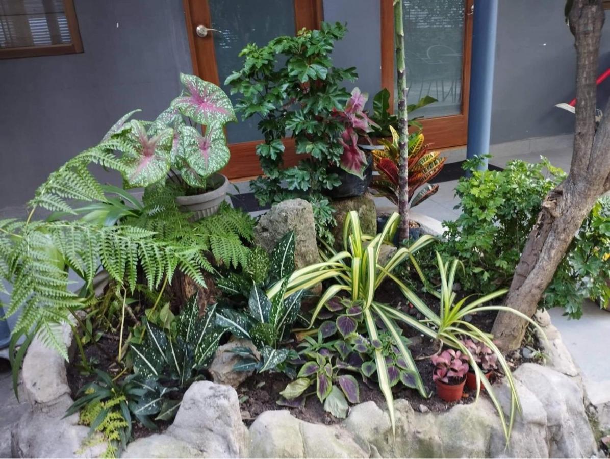 פאסאי The Hub District Garden Suites מראה חיצוני תמונה