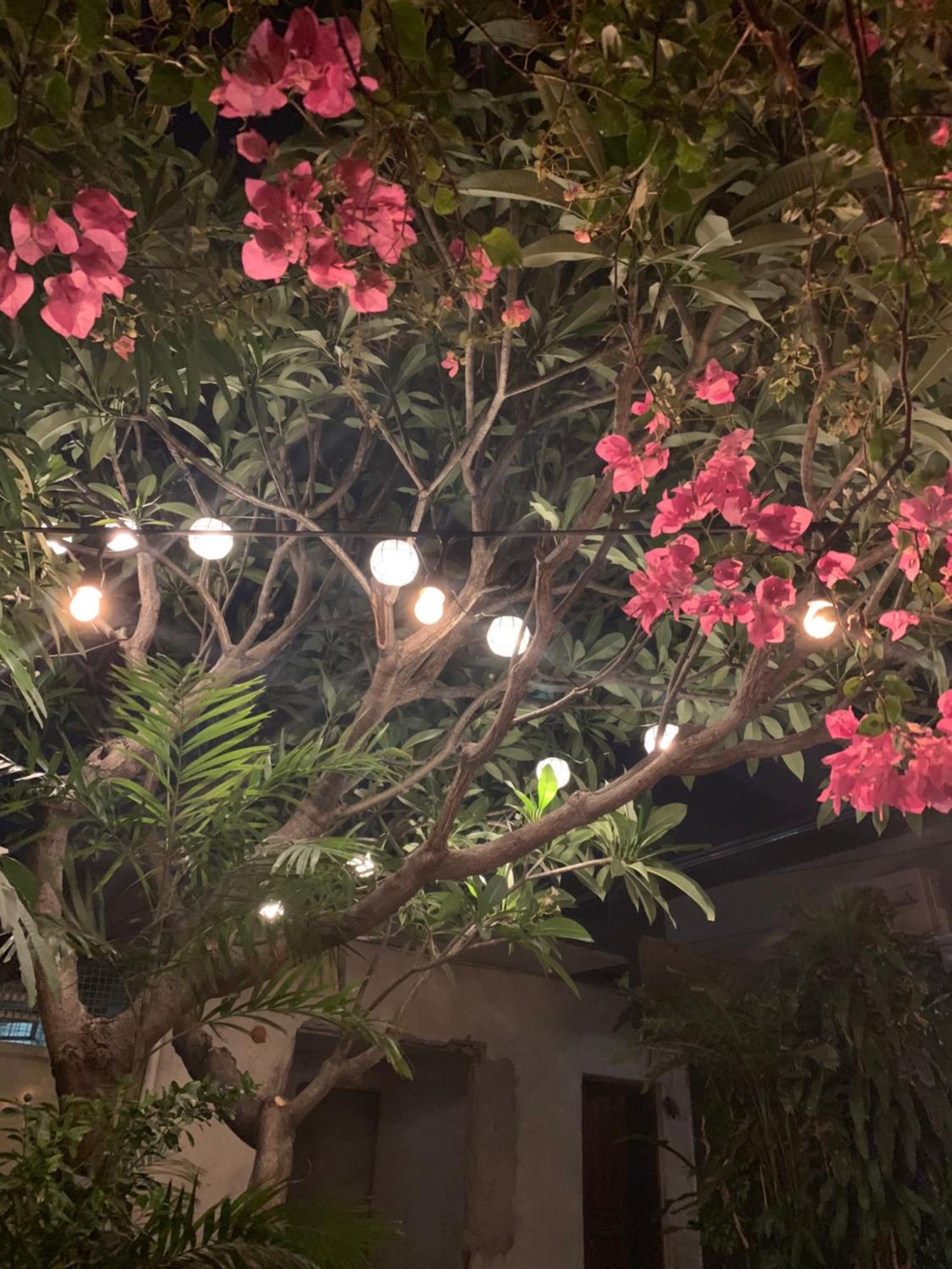פאסאי The Hub District Garden Suites מראה חיצוני תמונה